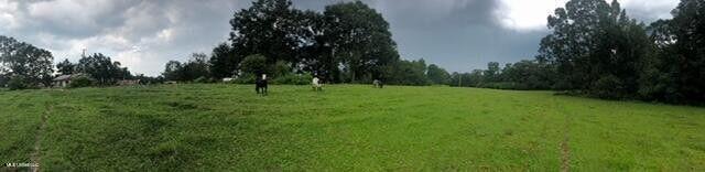 809 Osborn Moody Road Poplarville, MS 39470 - Photo 23 of 33 IMG_0100