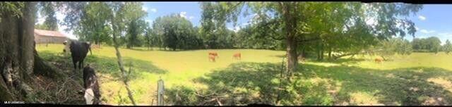 809 Osborn Moody Road Poplarville, MS 39470 - Photo 24 of 33 IMG_0101