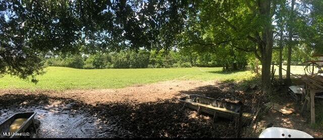 809 Osborn Moody Road Poplarville, MS 39470 - Photo 25 of 33 IMG_0098