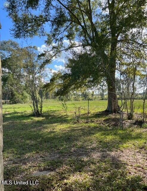 809 Osborn Moody Road Poplarville, MS 39470 - Photo 27 of 33 IMG_0103