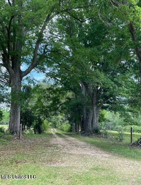 809 Osborn Moody Road Poplarville, MS 39470 - Photo 30 of 33 IMG_0108