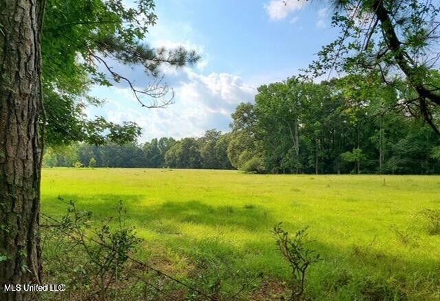 809 Osborn Moody Road Poplarville, MS 39470 - Photo 3 of 33 IMG_0078