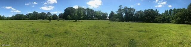 809 Osborn Moody Road Poplarville, MS 39470 - Photo 31 of 33 IMG_0109