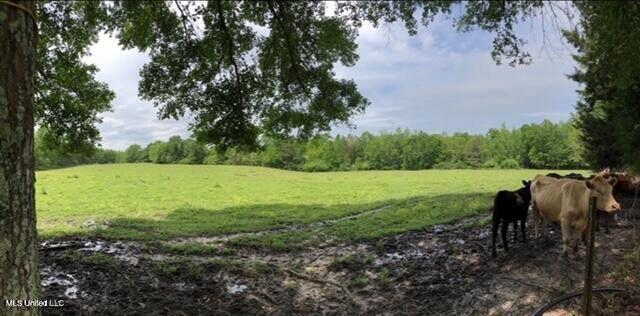 809 Osborn Moody Road Poplarville, MS 39470 - Photo 32 of 33 IMG_0111