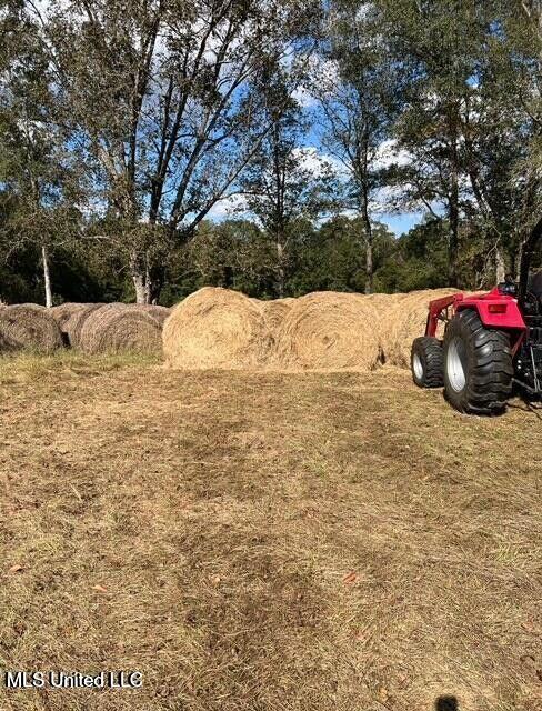 809 Osborn Moody Road Poplarville, MS 39470 - Photo 33 of 33 IMG_0106