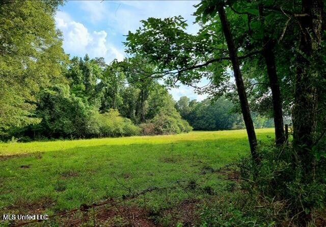 809 Osborn Moody Road Poplarville, MS 39470 - Photo 4 of 33 IMG_0079