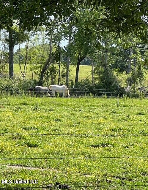 809 Osborn Moody Road Poplarville, MS 39470 - Photo 5 of 33 IMG_0080