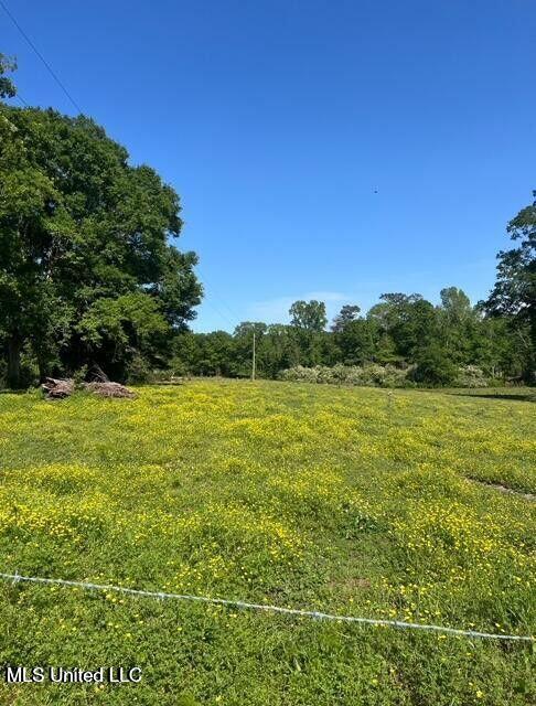809 Osborn Moody Road Poplarville, MS 39470 - Photo 6 of 33 IMG_0081
