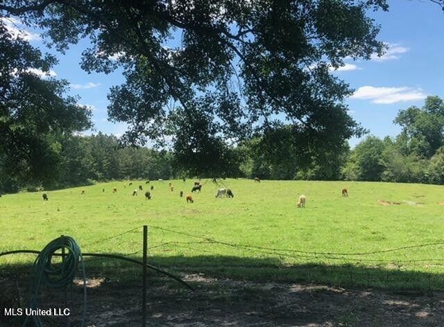 809 Osborn Moody Road Poplarville, MS 39470 - Photo 7 of 33 IMG_0082