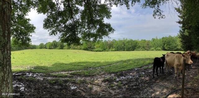 809 Osborn Moody Road Poplarville, MS 39470 - Photo 8 of 33 IMG_0083