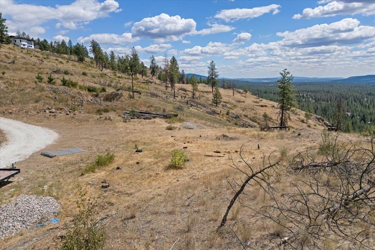 6520 Pine Ridge Way Nine Mile Falls, WA 99026 - Photo 28 of 40