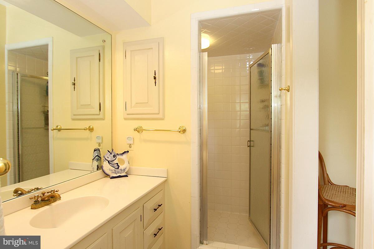 4504 Wetherill Road Bethesda, MD 20816 - Photo 16 of 29 Master Bath