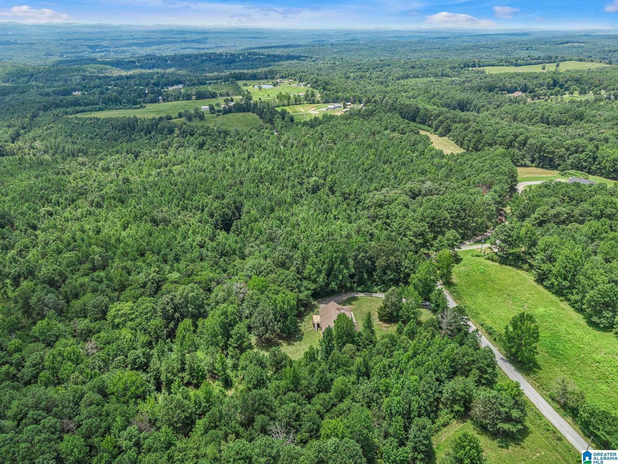 1114 Rb Shadrix Road Hayden, AL 35079 - Photo 50 of 55