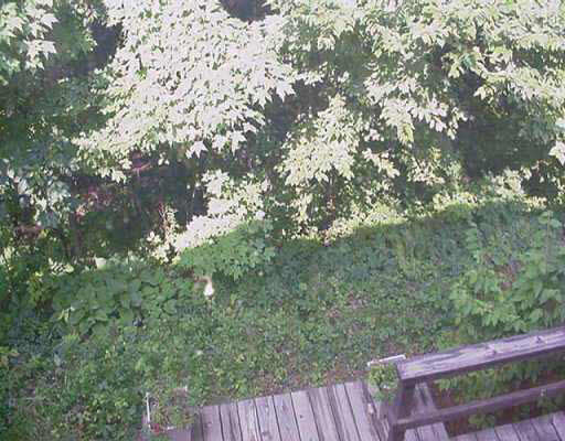 2305 Sawmill Road Fort Wayne, IN 46845 - Photo 8 of 8 Gallery Image 8