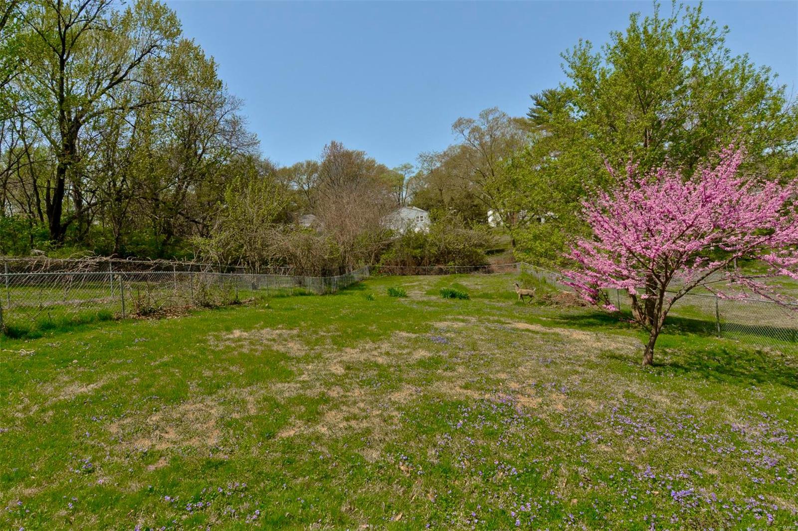 3517 Wismer Road St. Ann, MO 63074 - Photo 29 of 34 Gallery Image 29