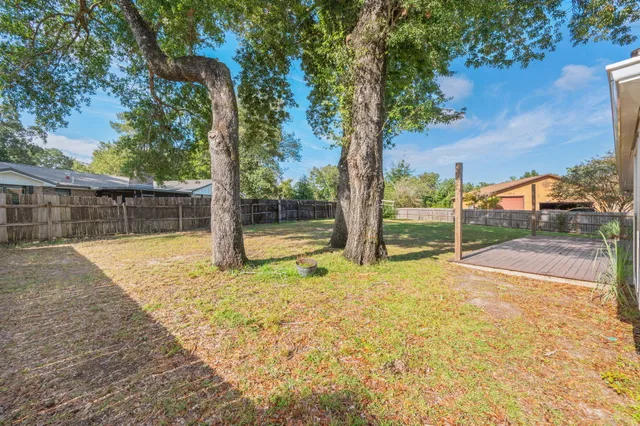 a view of backyard with tree