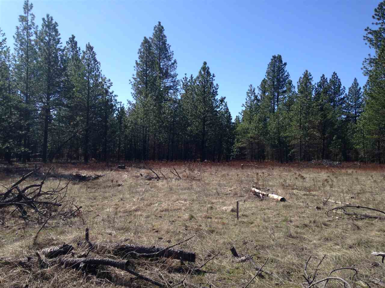14000 East Bridges Road Elk, WA 99009 - Photo 1 of 5