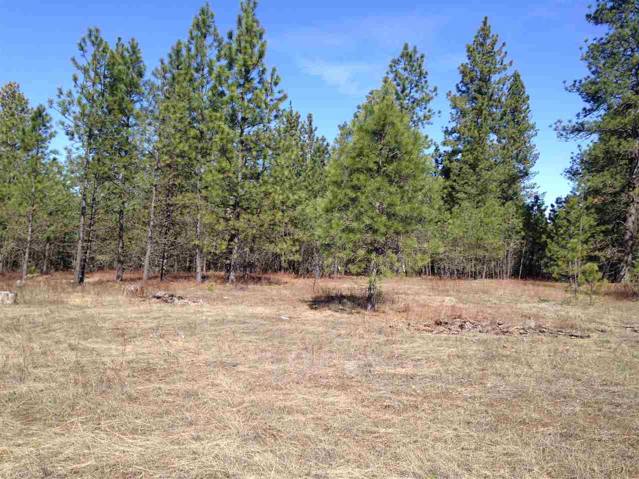 14000 East Bridges Road Elk, WA 99009 - Photo 2 of 5
