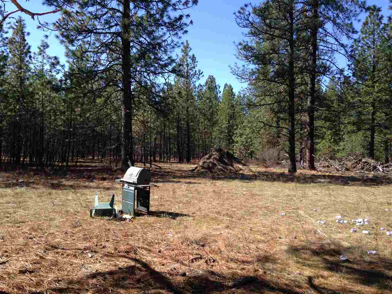 14000 East Bridges Road Elk, WA 99009 - Photo 3 of 5