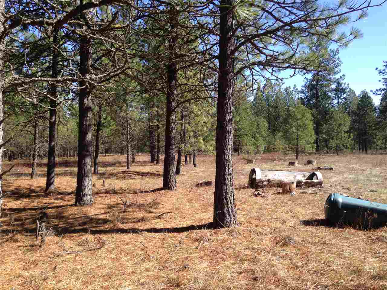14000 East Bridges Road Elk, WA 99009 - Photo 4 of 5