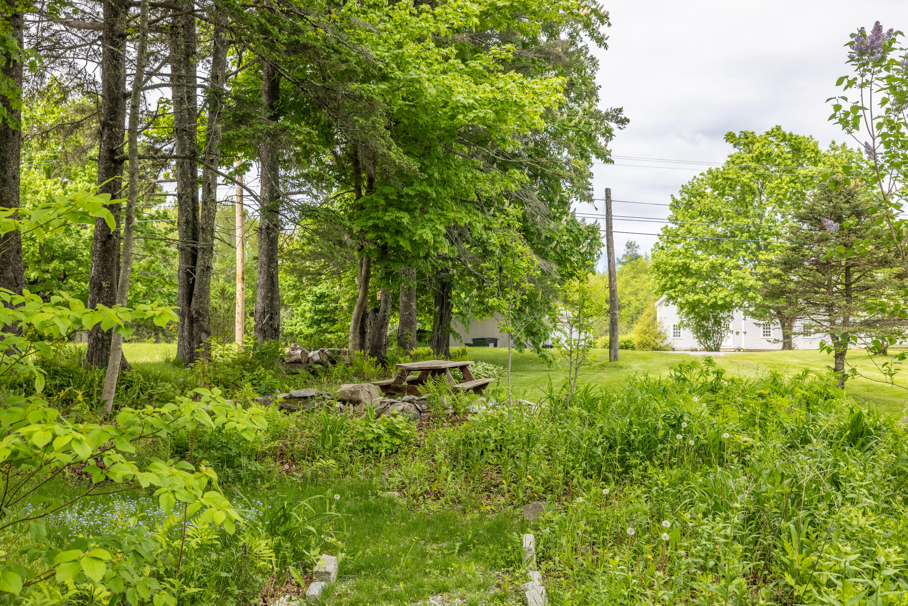 873 River Road St. George, ME 04860 - Photo 64 of 69 _SMC9279