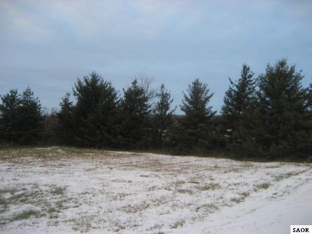 43637-1.JPG