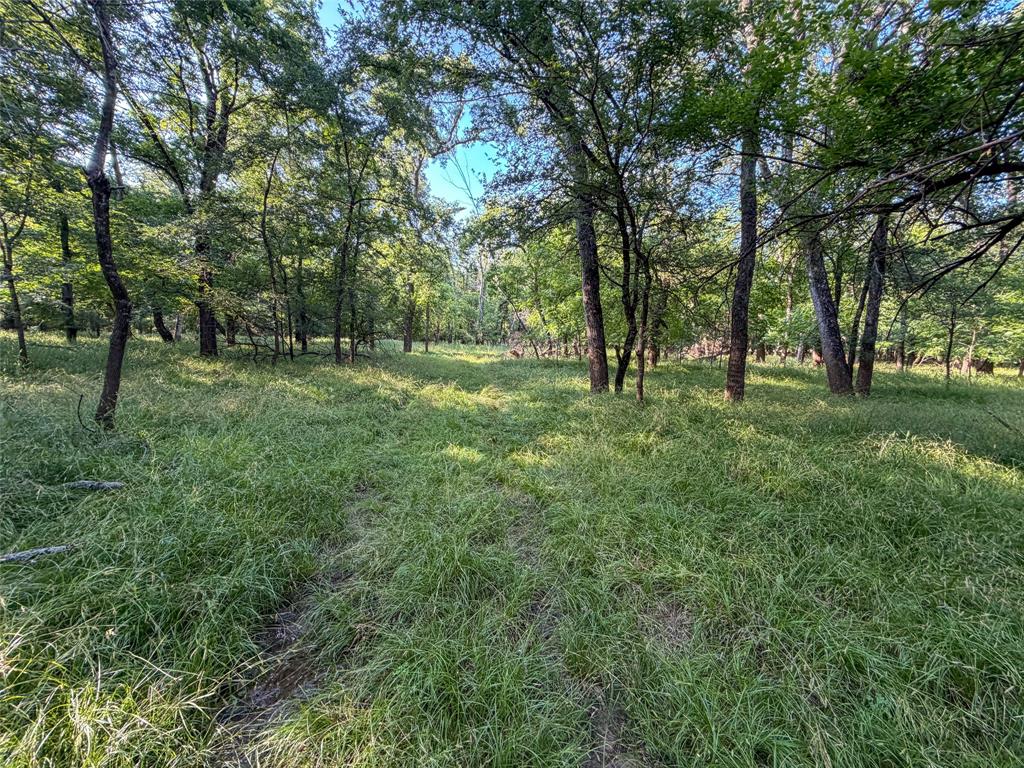 449 Private Road 4670 Rhome, TX 76078 - Photo 34 of 39 a big yard with lots of green space and deers