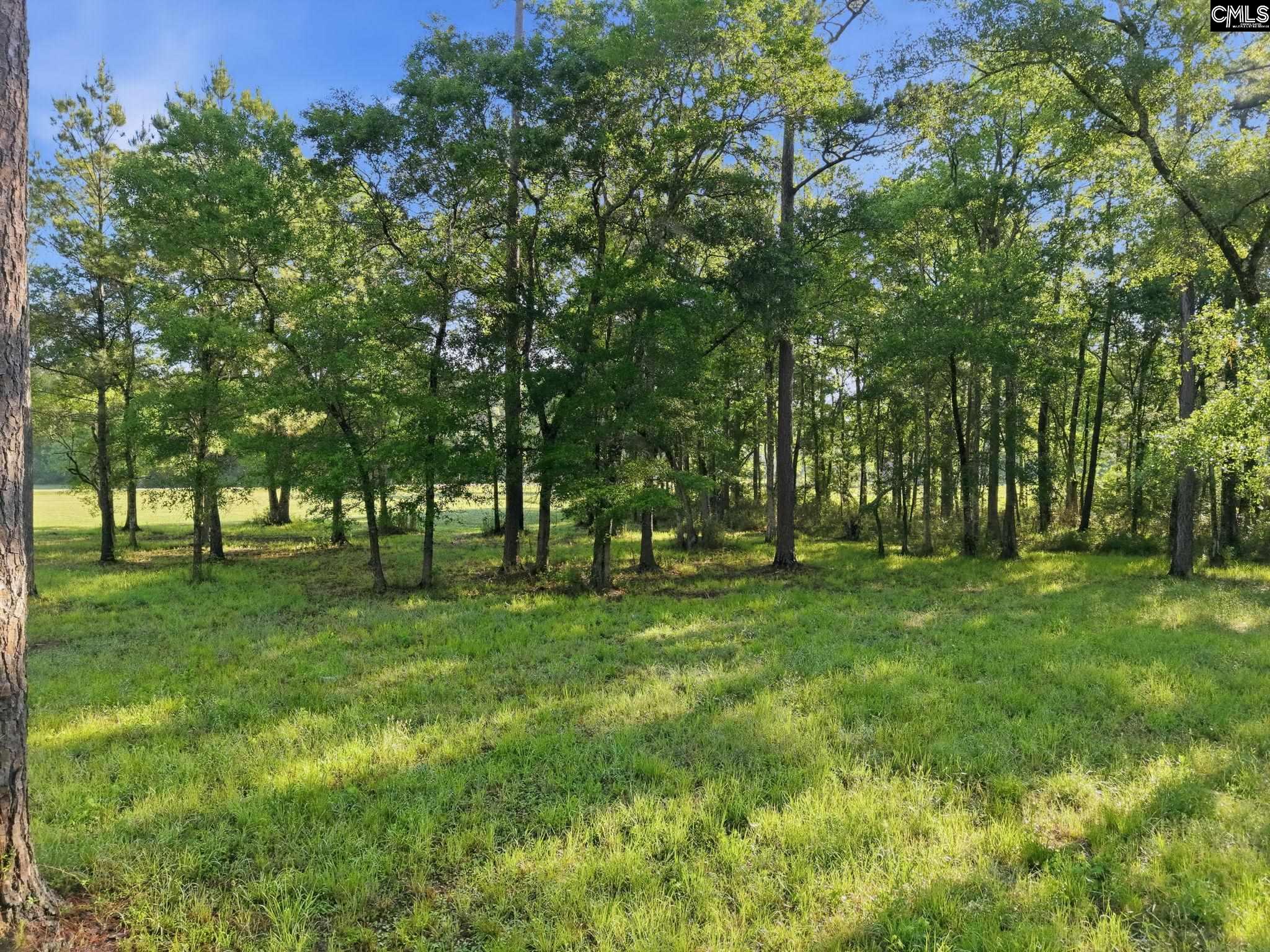 1047 Fortview Road Jamestown, SC 29453 - Photo 30 of 38