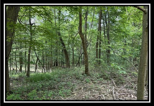 167 Weaver Road, Unit TRACT A) Chillicothe, OH 45601 - Photo 30 of 45 image030