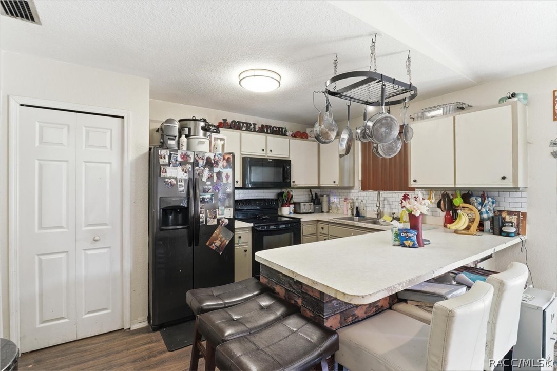 334 South Raymo Terrace Lecanto, FL 34461 - Photo 6 of 21