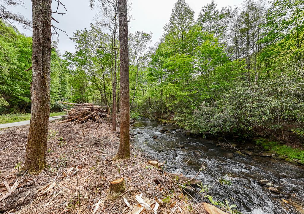 795 Porter Field Gap Road Robbinsville, NC 28771 - Photo 97 of 105