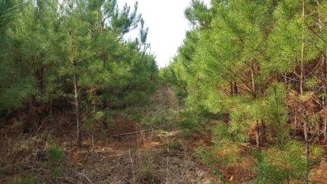 1176 Mudline Road Magnolia, MS 39652 - Photo 1 of 1 Main View