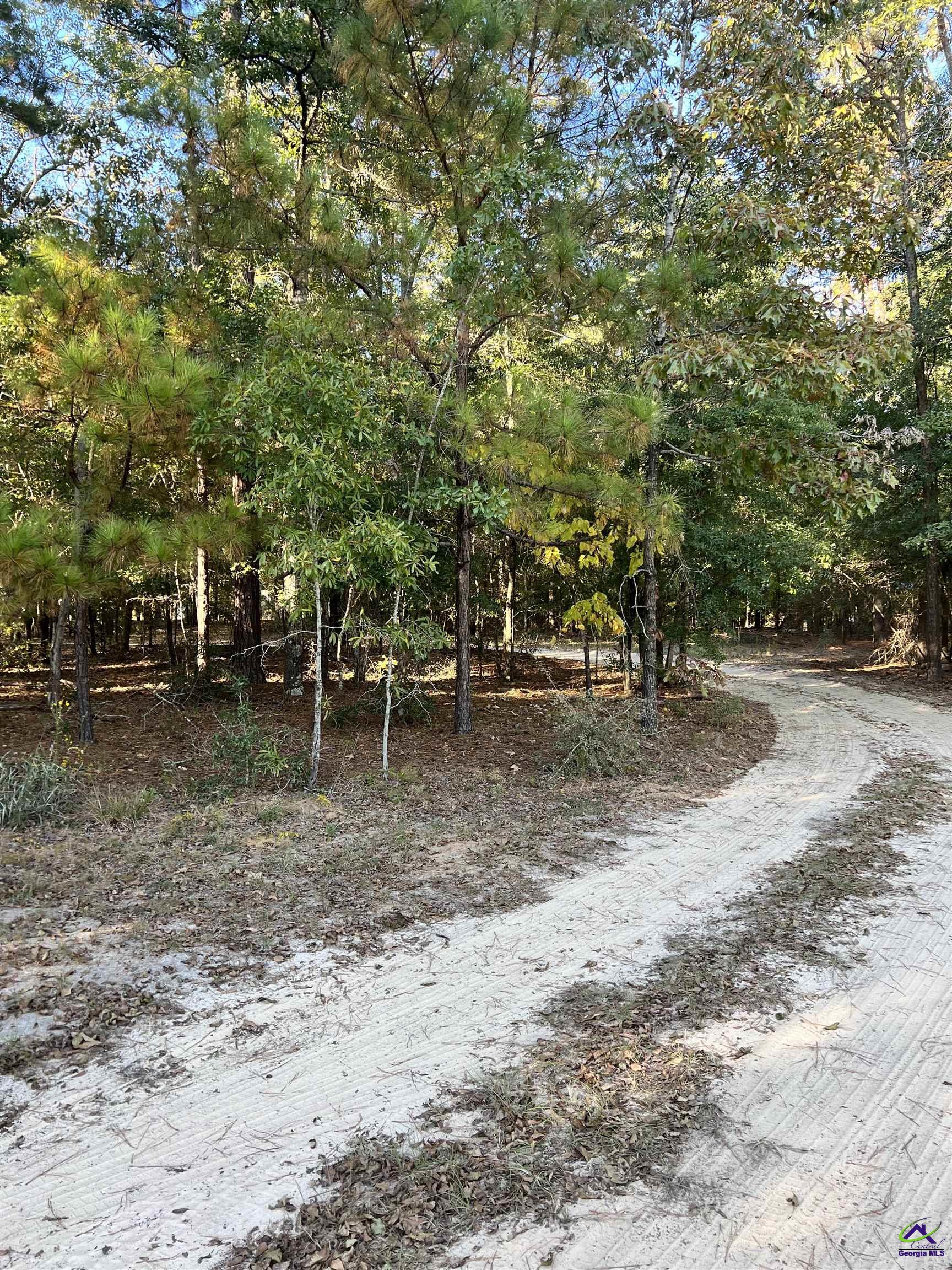 2382 Gallimore Mill Road Danville, GA 31017 - Photo 48 of 80