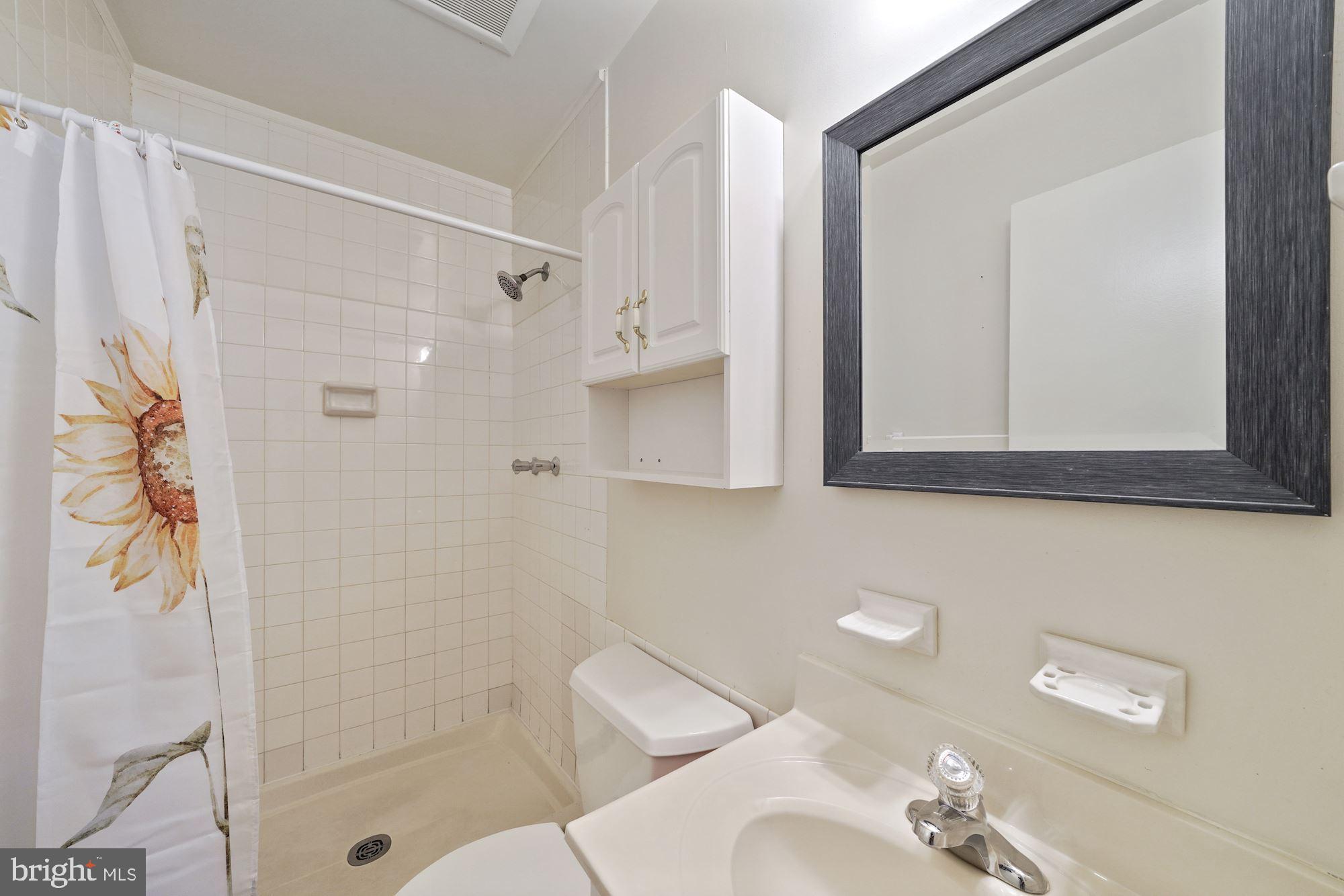 8519 Forrester Boulevard Springfield, VA 22152 - Photo 22 of 44 Primary Bath