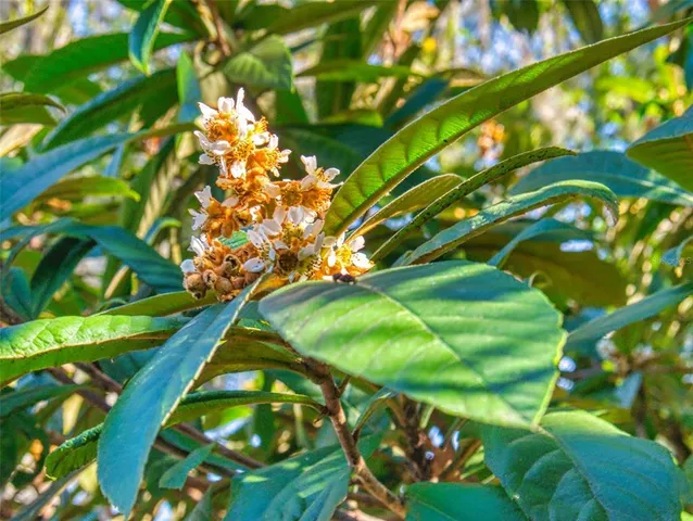 $329,900 | 3851 Thistlewood Way, Leesburg, FL 34748