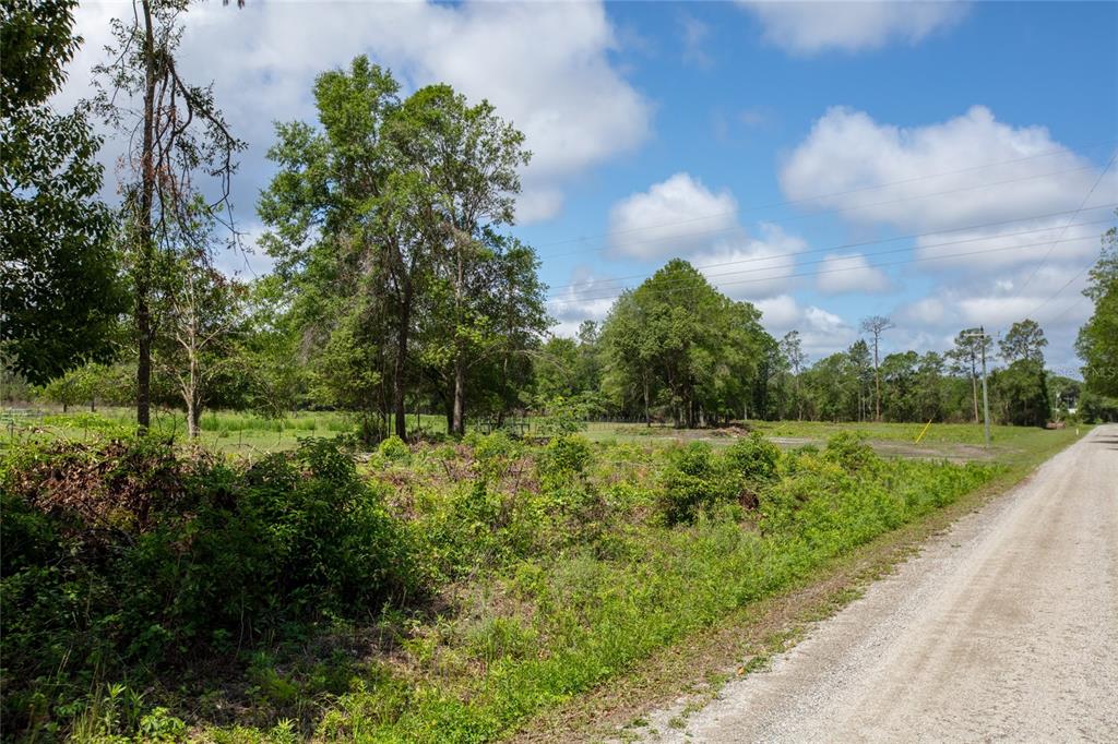 Northwest 185th Street Starke, FL 32091 - Photo 14 of 19 a view of a garden with a fountain