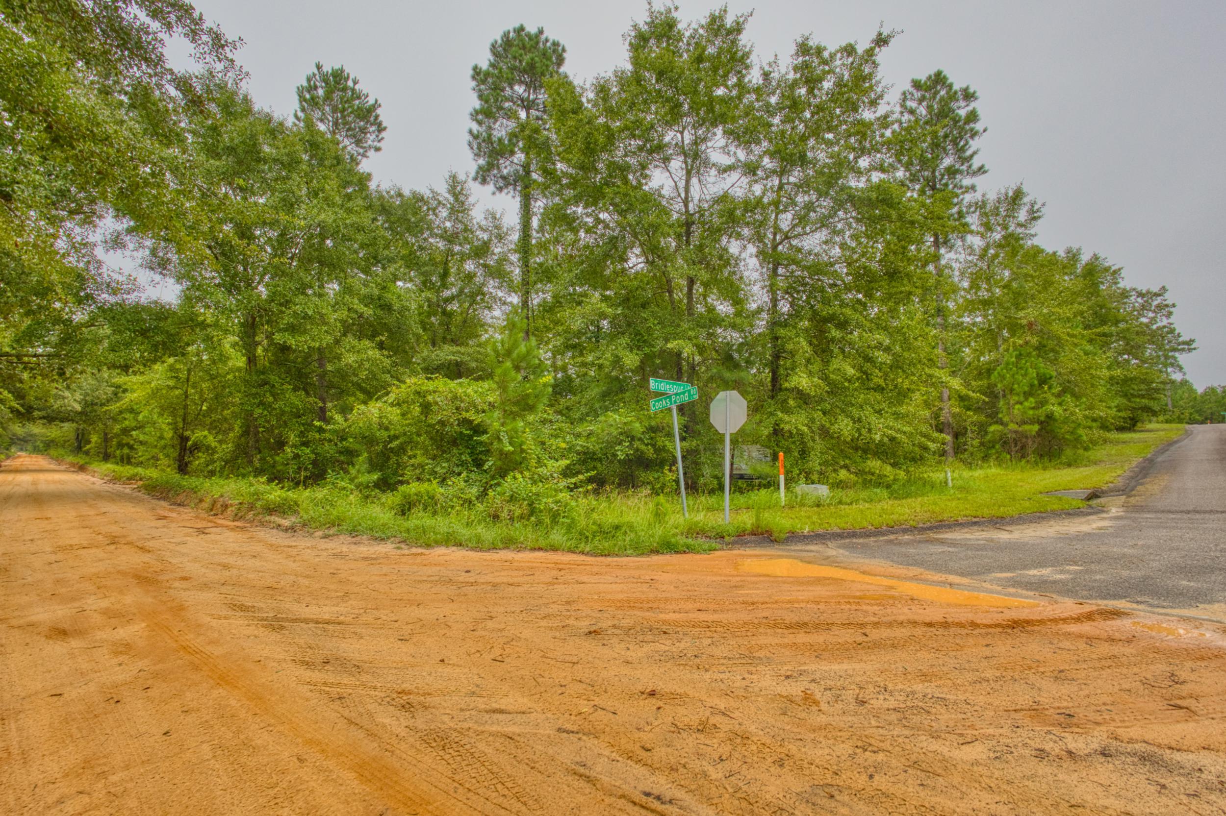 Lot 5 Cooks Pond Road Windsor, SC 29856 - Photo 19 of 23