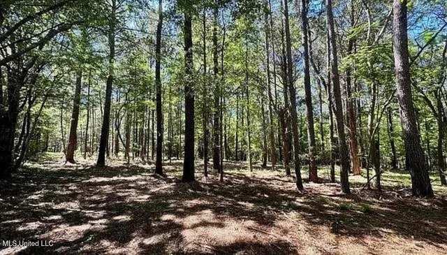 $70,000 | 1 Robinson Road, Canton, MS 39046