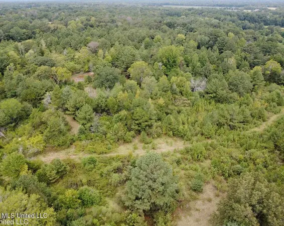 $70,000 | 1 Robinson Road, Canton, MS 39046