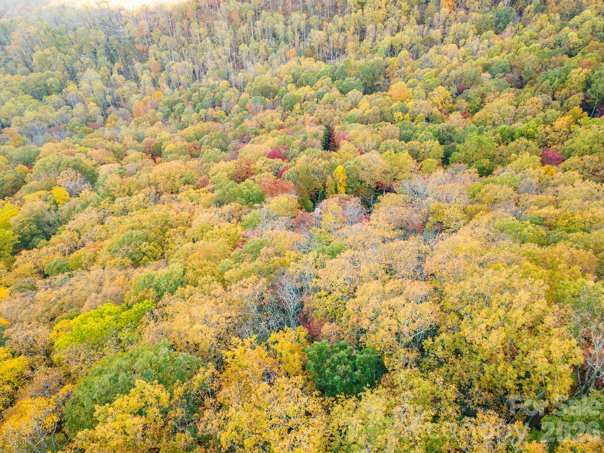 Tbd Summer Haven Road, Unit 16 Swannanoa, NC 28778 - Photo 28 of 45