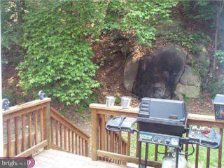 2119 Walters Road Green Lane, PA 18054 - Photo 3 of 5 Gallery Image 3