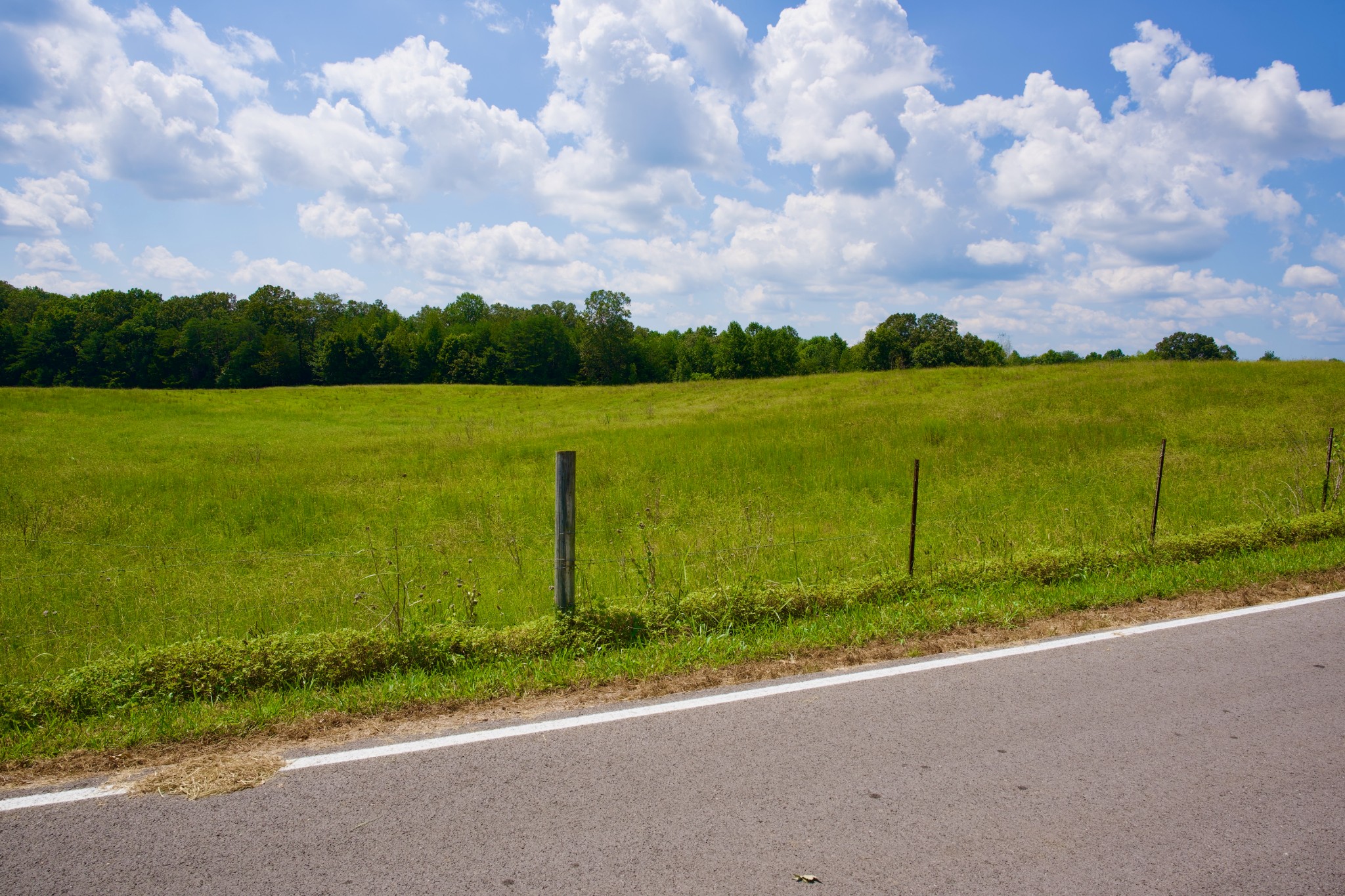 2 West Of Barlow Road Rock Island, TN 38581 - Photo 15 of 21 a view of a garden and mountains