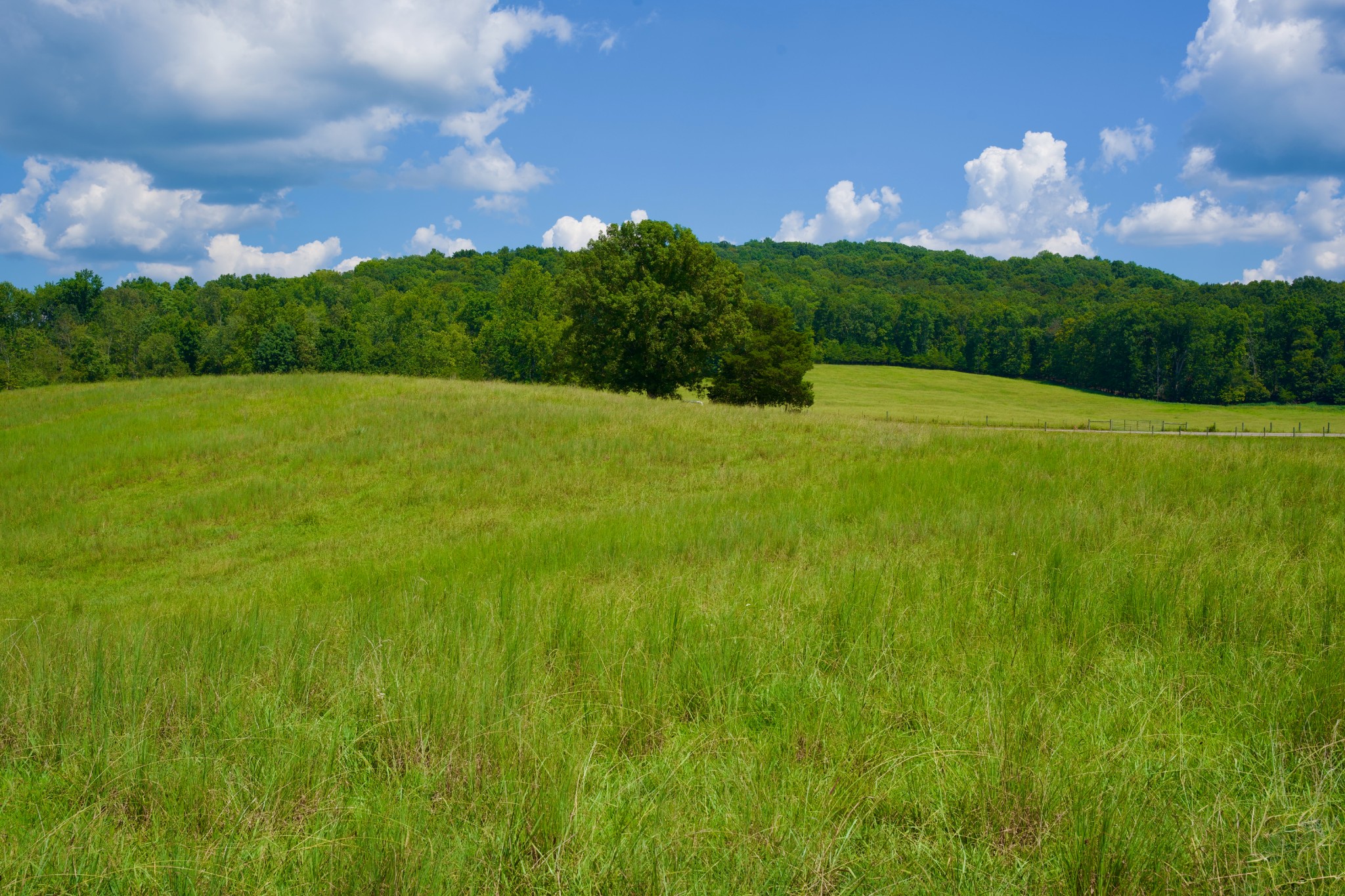 2 West Of Barlow Road Rock Island, TN 38581 - Photo 20 of 21 a view of a golf course with green space