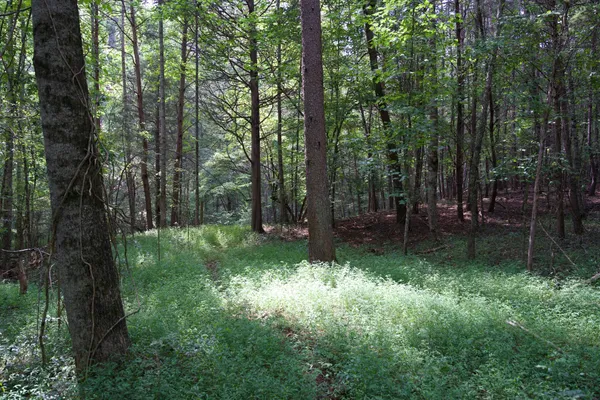 $89,500 | 2 West Of Barlow Road, Rock Island, TN 38581