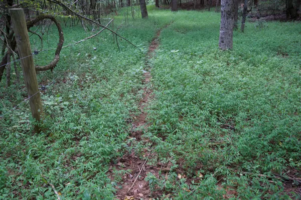 $89,500 | 2 West Of Barlow Road, Rock Island, TN 38581