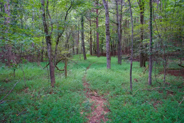 $89,500 | 2 West Of Barlow Road, Rock Island, TN 38581