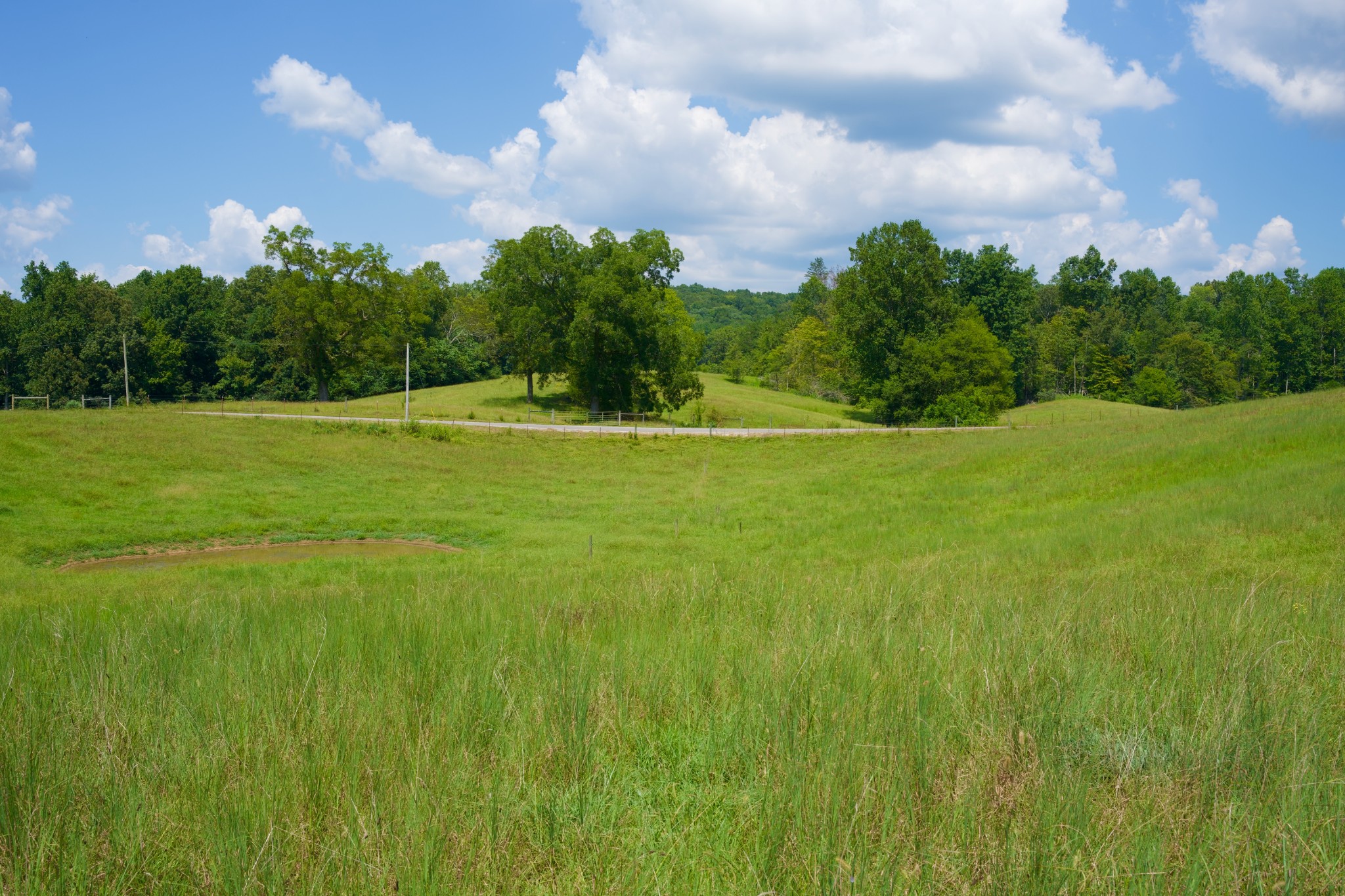 2 West Of Barlow Road Rock Island, TN 38581 - Photo 9 of 21 a backyard of a house with lots of green space