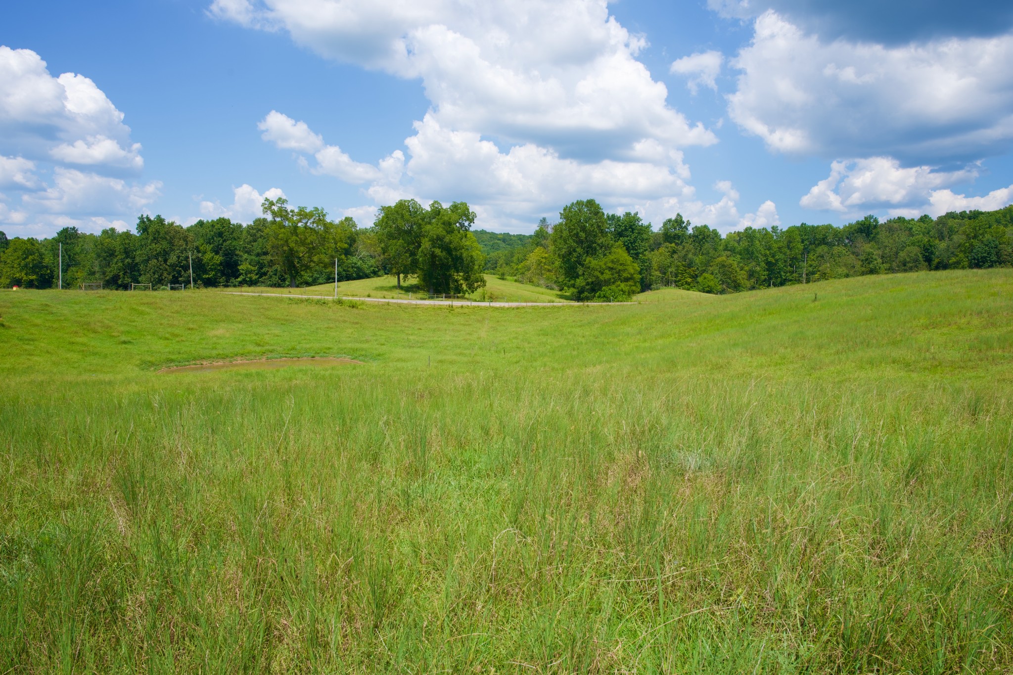 2 West Of Barlow Road Rock Island, TN 38581 - Photo 10 of 21 a view of an outdoor space and a yard