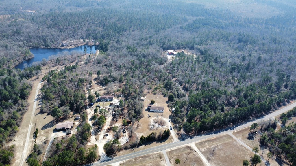 555 Dr Brooks Road Box Springs, GA 31801 - Photo 40 of 59