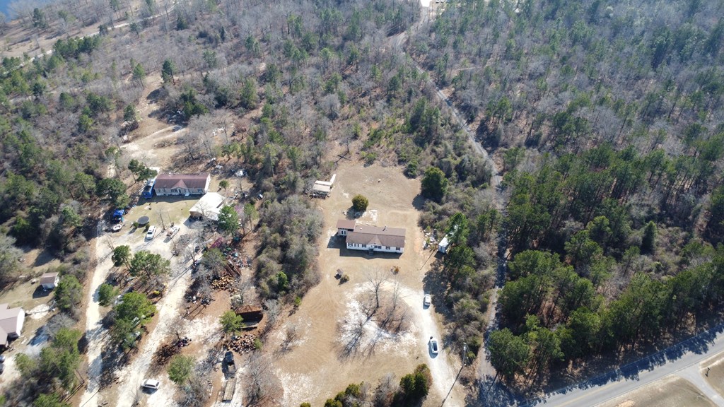 555 Dr Brooks Road Box Springs, GA 31801 - Photo 4 of 59